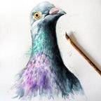 Design-lahja – carte de voeux aquarelle pigeon kate moby 