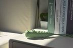 Krokodil-Taschenlampe