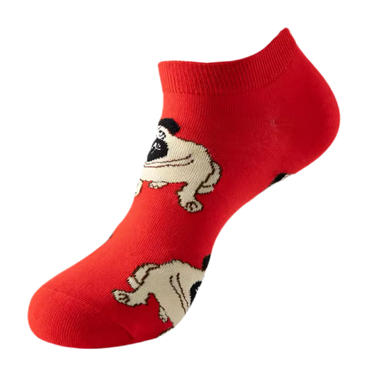 chaussettes courtes carlins