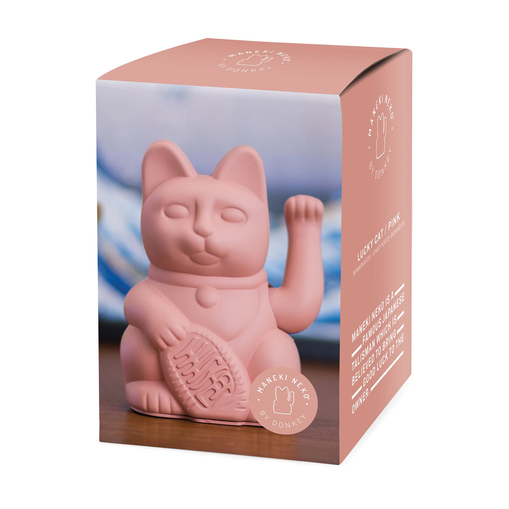 Fortunato gatto rosa