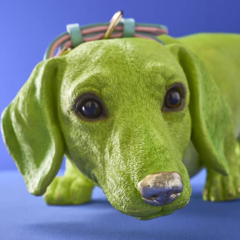 Chien Teckel Wilfried M. Collier, Résine poly verte
