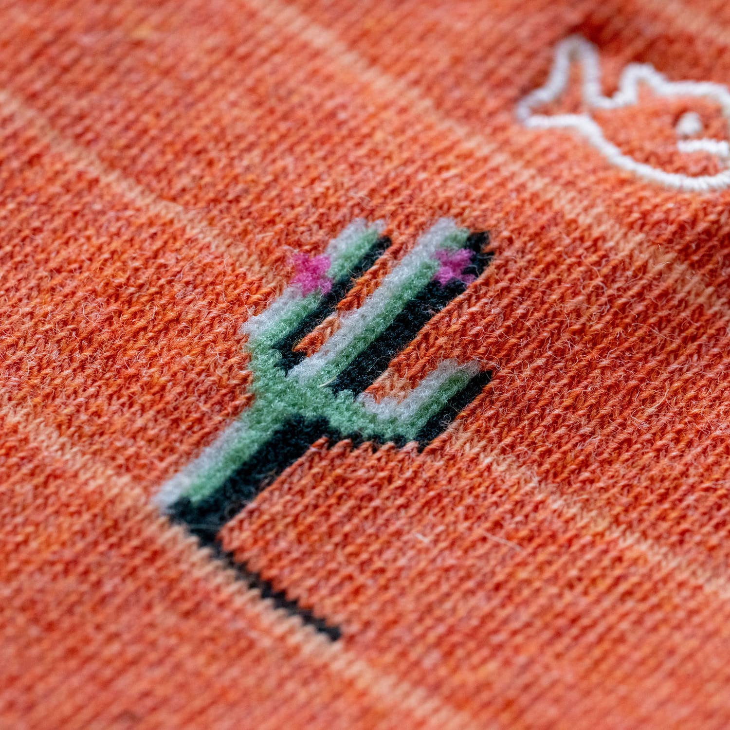 Chaussettes Cactus | Designproducten en originele cadeaus