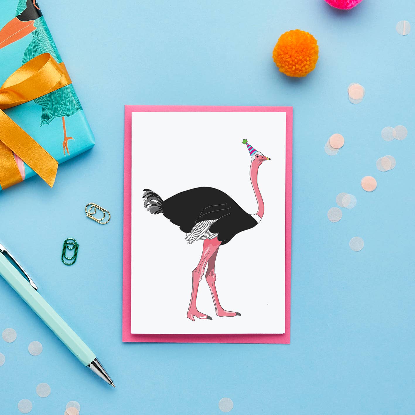 Carte d'anniversaire Autruche | Designproducten en originele cadeaus