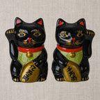 Sel et Poivre Chats Chanceux Noirs