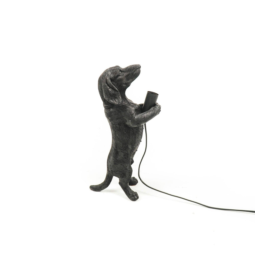 Lampe Teckel - Noir