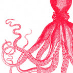 Carte postale Pieuvre Rouge