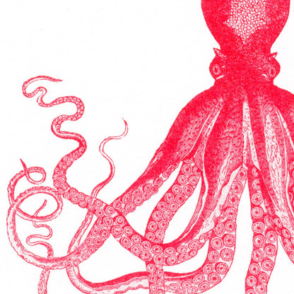 Red Octopus Postcard