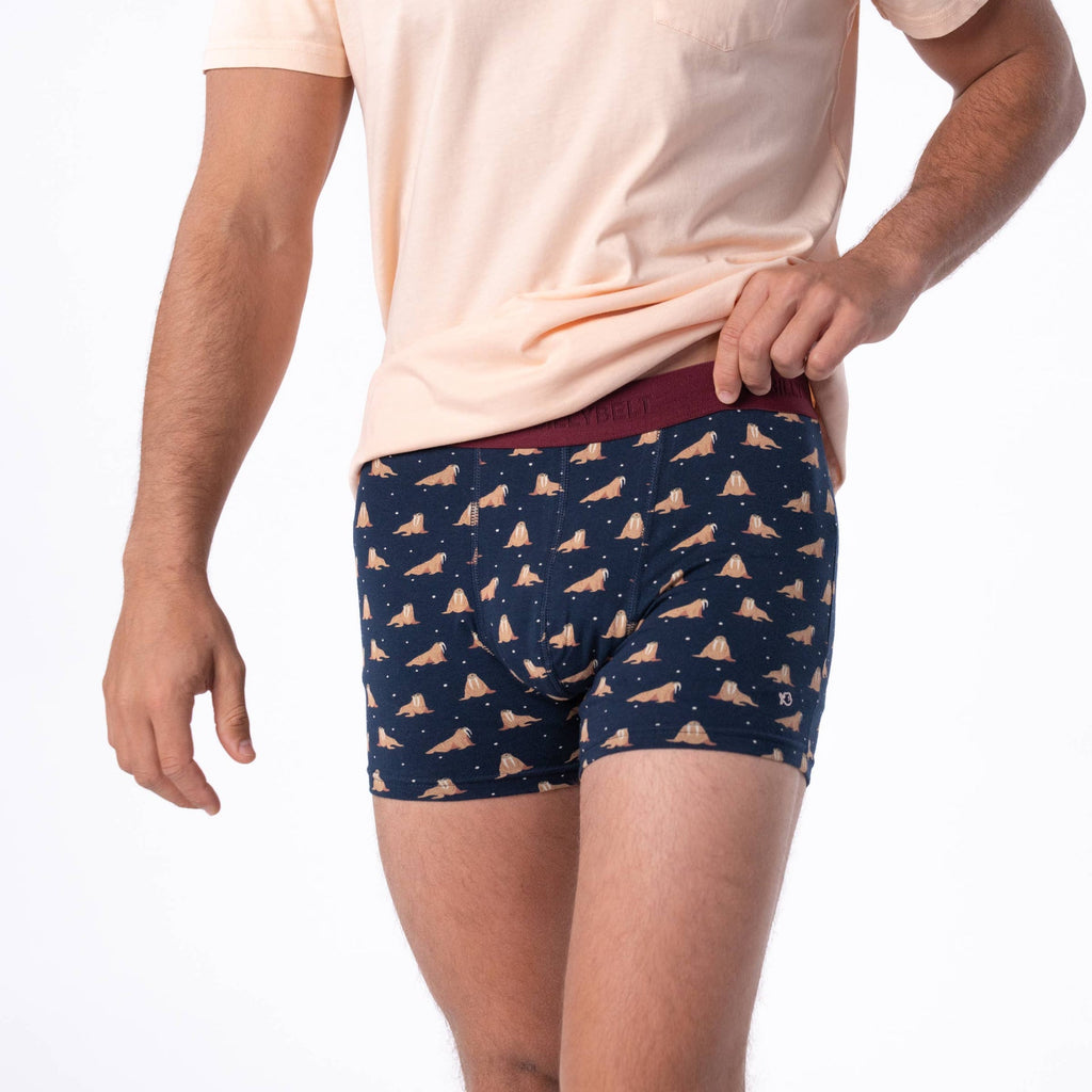 Boxer En Coton Biologique - Freya