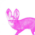 Carte postale Fennec Néon Rose