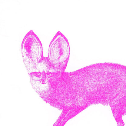 Neon Pink Fennec Postcard