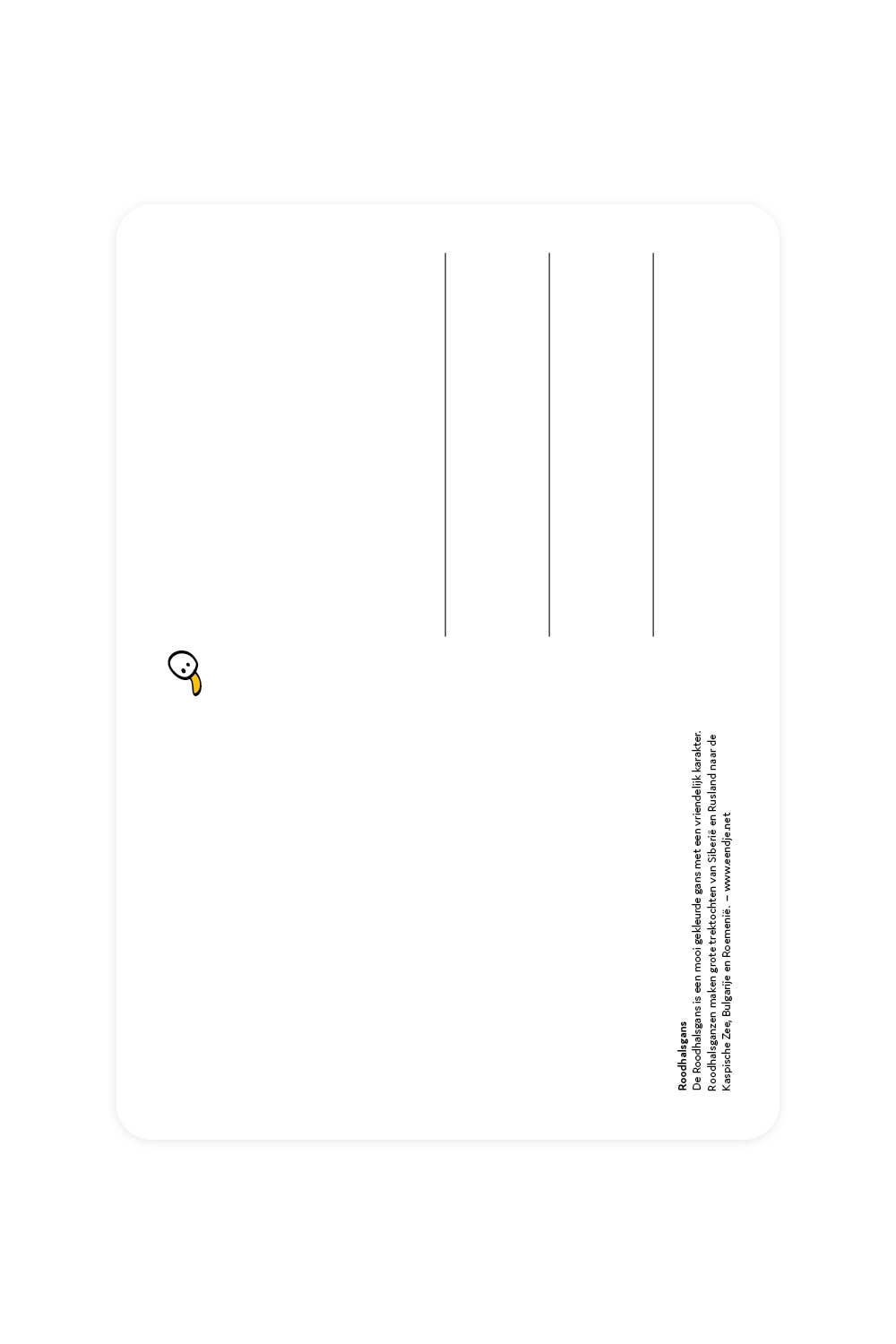 Carte postale Oie à cou roux | Oggetti di design e regali originali
