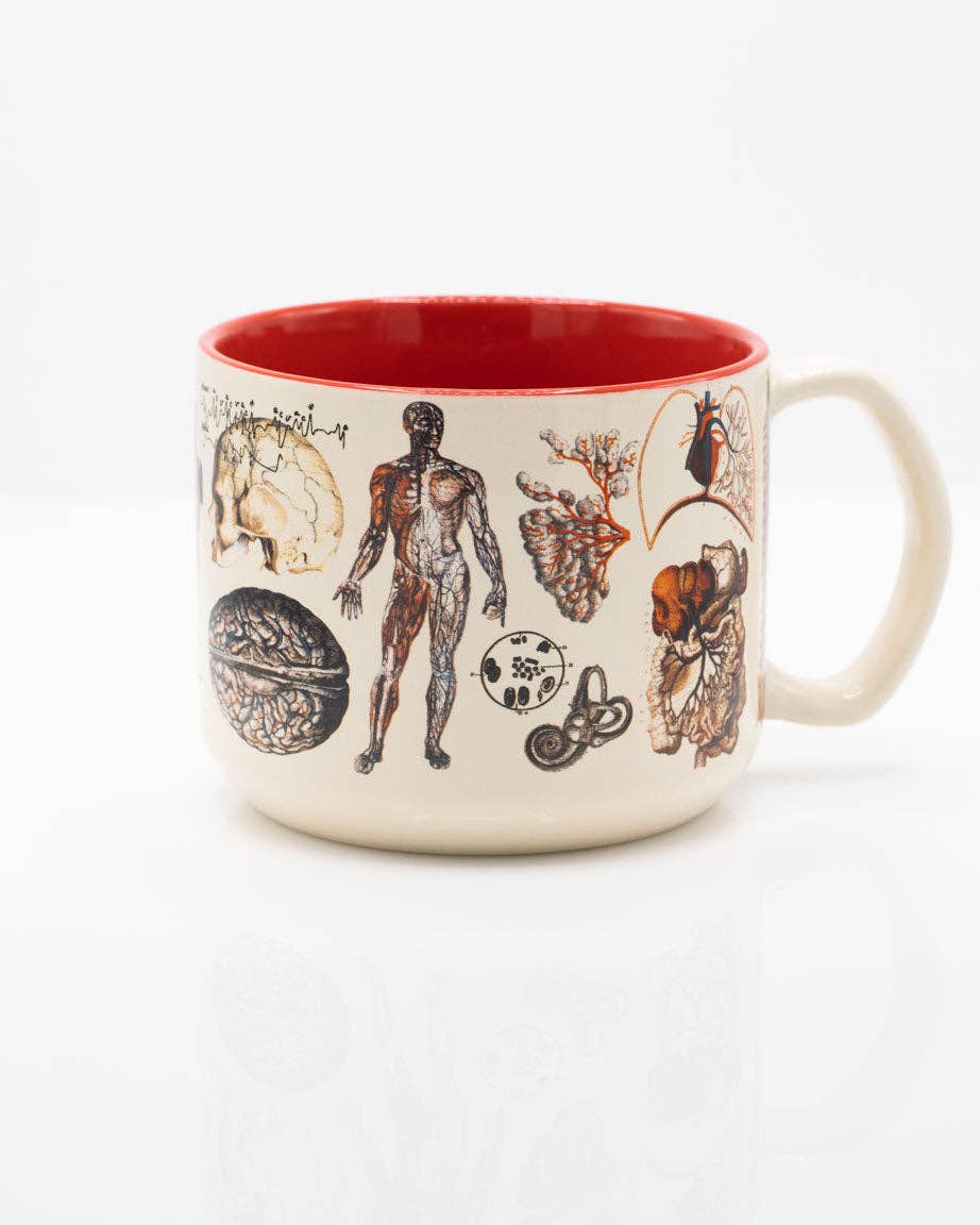 Oggetto regalo di design – Anatomie Mug vasculaire (430 ml) – produit scientifique Cognitive Surplus EU, vue 1