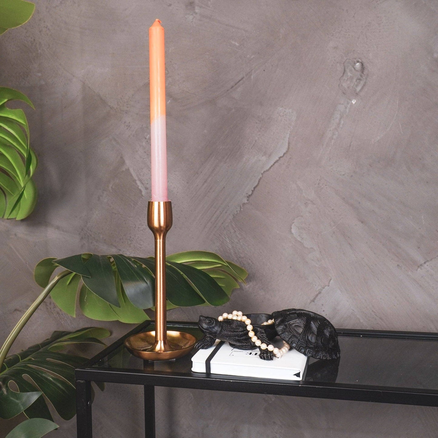 Boîte Tortue - Noir