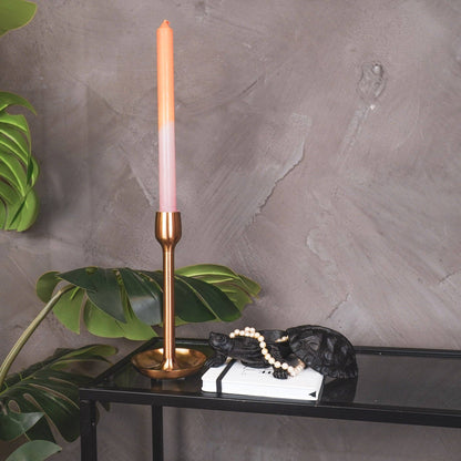 Boîte Tortue - Noir