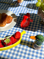 Pato de colvert de sal y pato