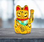 Chat porte-bonheur – vue 6