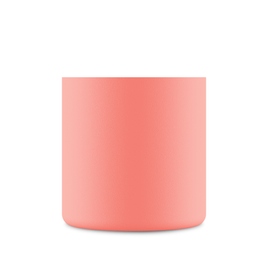 Urban Bottle | Blush Rose - 500 ml