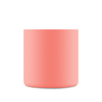 Urban Bottle | Blush Rose - 500 ml