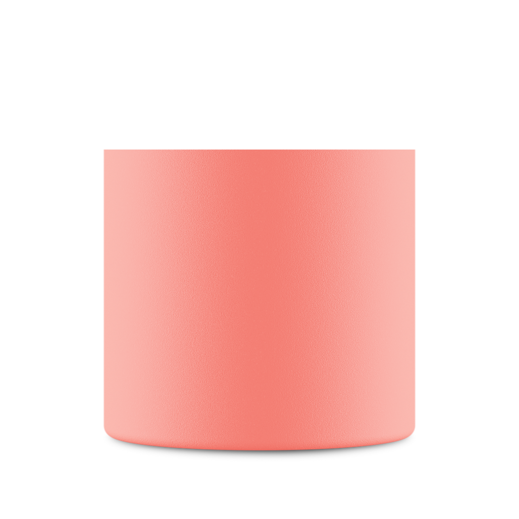 Clima Bottle | Blush Rose - 500 ml
