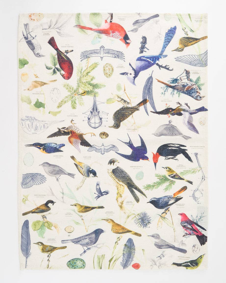 Oggetto regalo di design – Torchon Oiseaux – produit scientifique Cognitive Surplus EU, vue 1