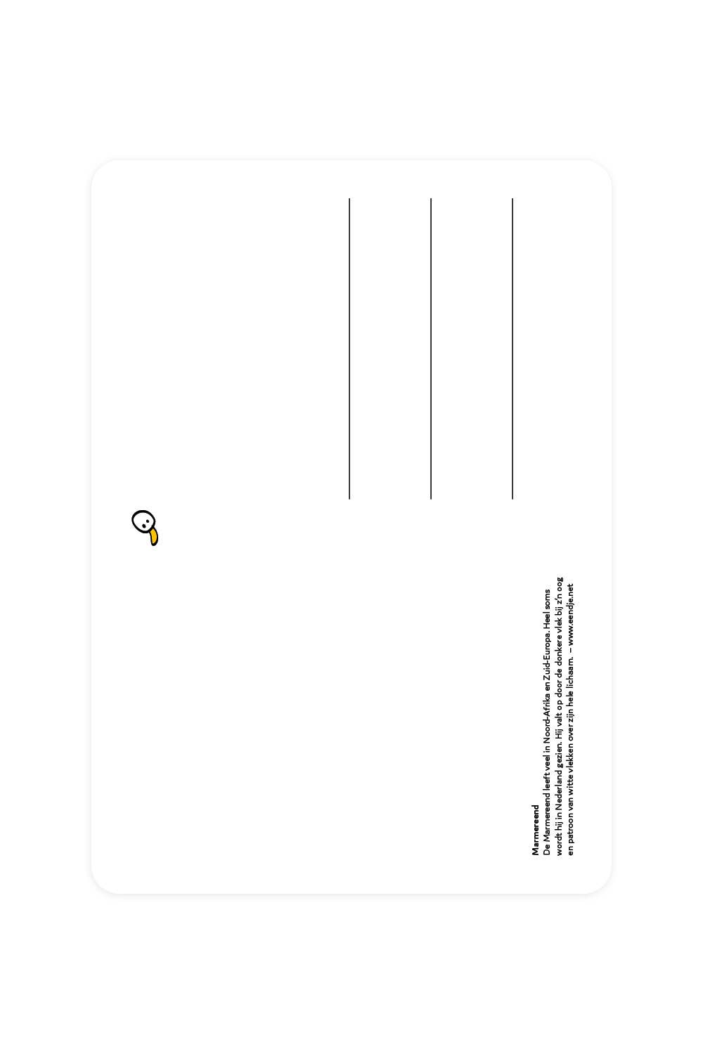 Postkarte mit Marmorente