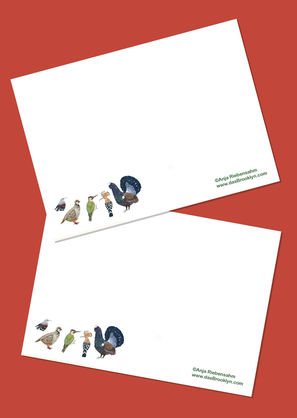 Spanish Ducks postcard