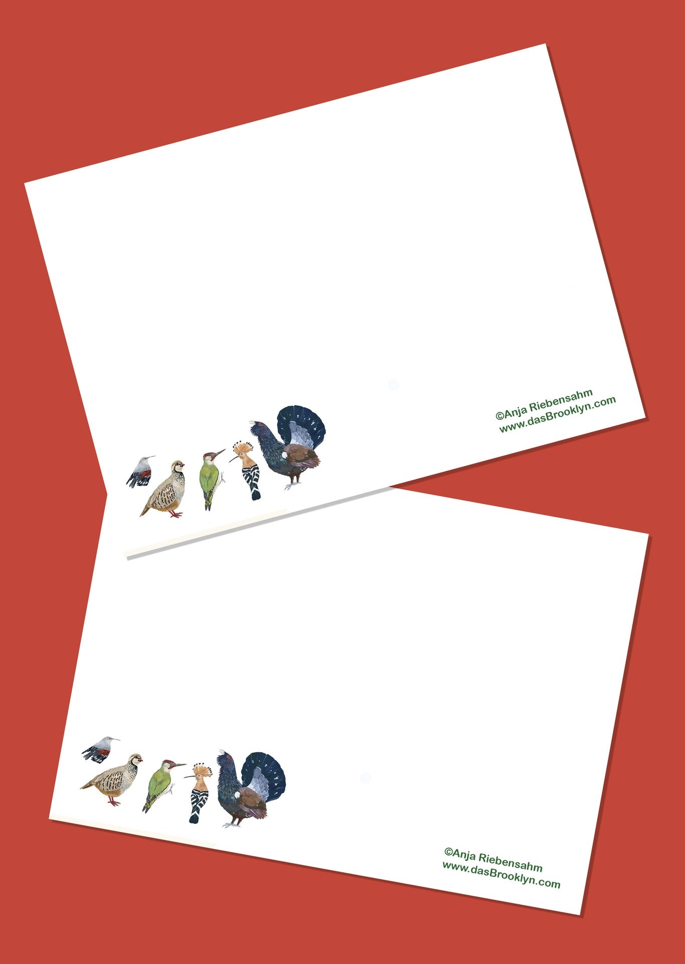 Carte postale Canards d'Espagne