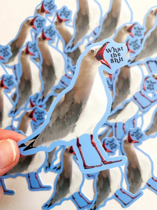 "What the Shit" Seagull Sticker