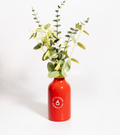 Vase sauce piquante