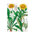 Torchon Hortus Botanicus avec motif de pissenlit