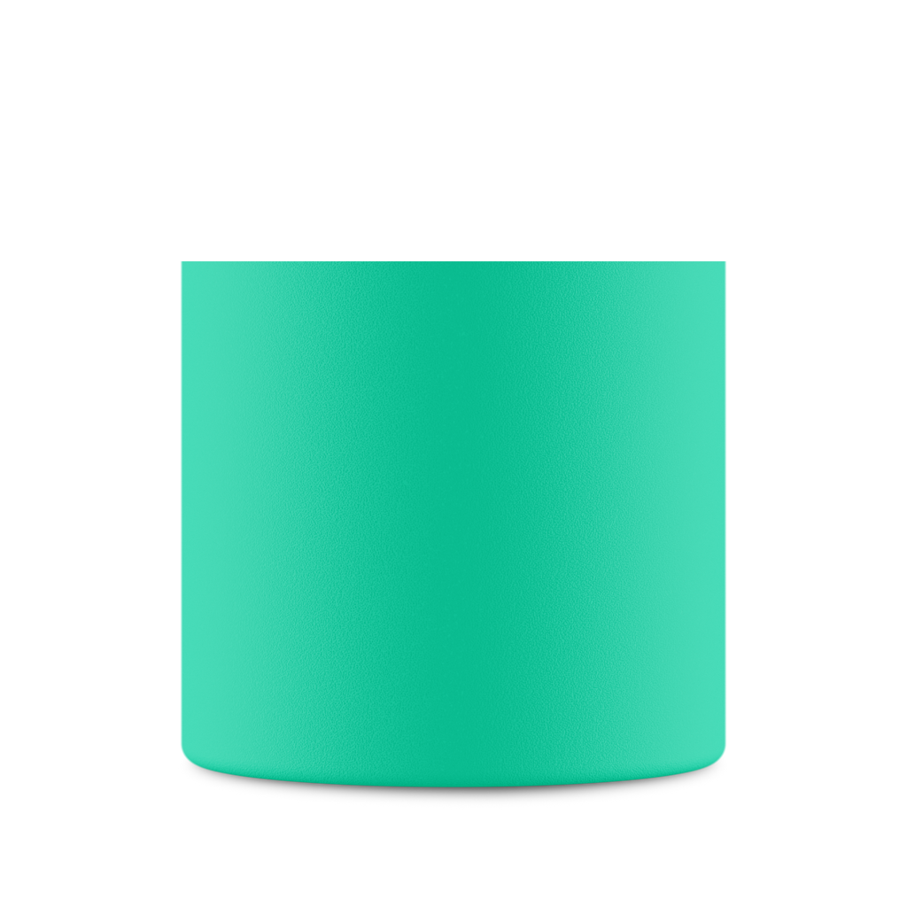 Clima Bottle | Mint - 500 ml