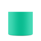 Clima Bottle | Mint - 500 ml