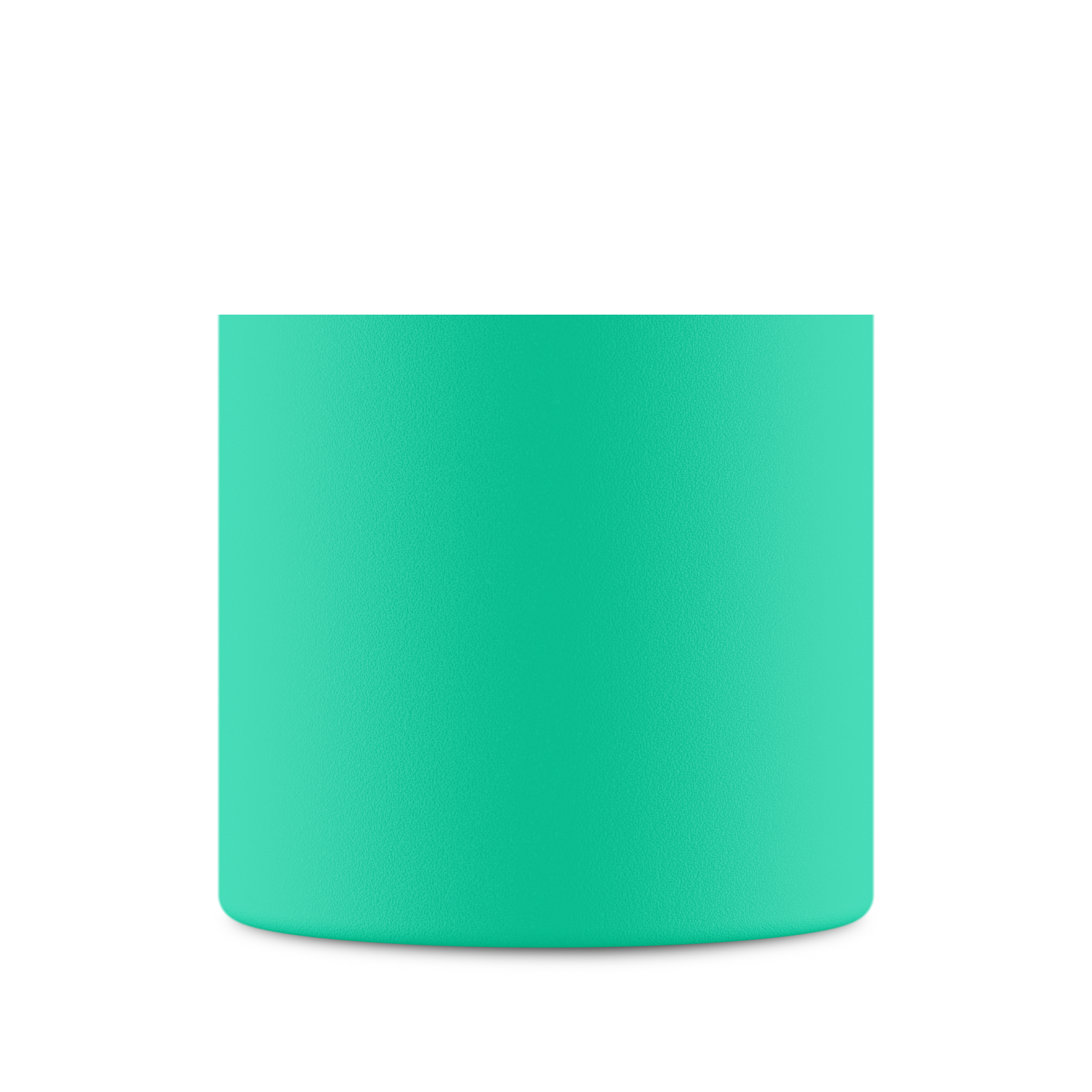 Clima Bottle | Mint - 500 ml
