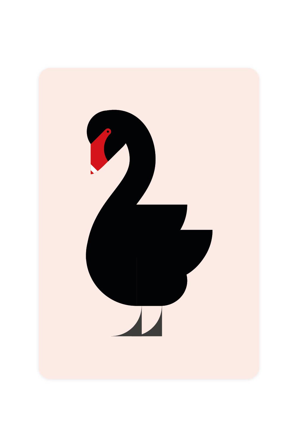 Postkarte mit schwarzem Schwan