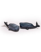 Salière et poivrière Baleine bleue