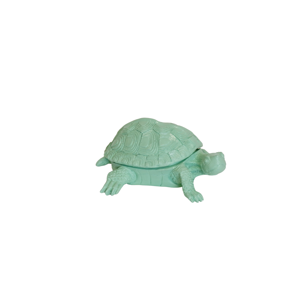 Schildkrötenbox – Mintgrün