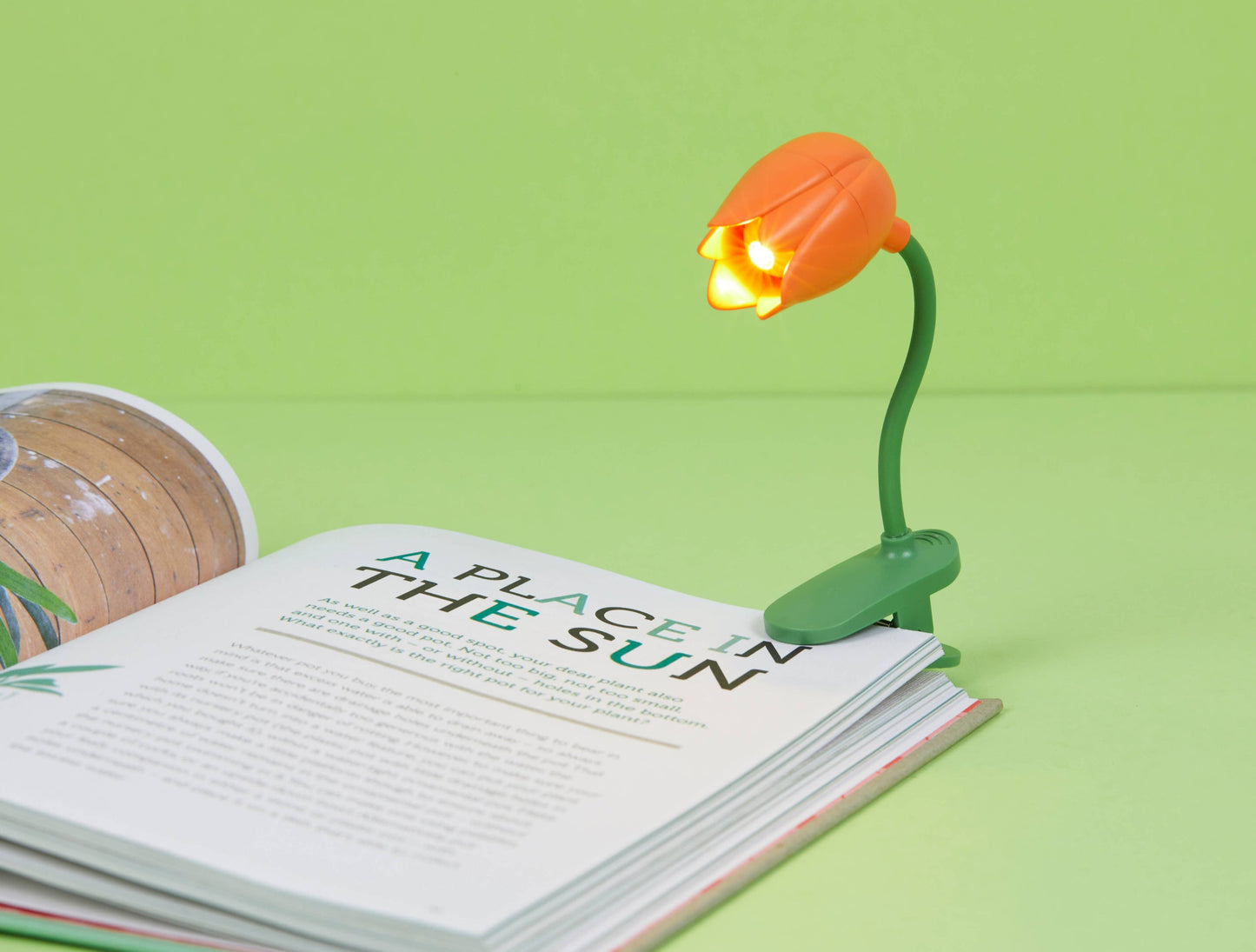 Lumière de lecture Tulipe Orange