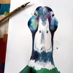 carte de voeux aquarelle canard colvert kate moby 