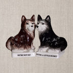 Salt and Pepper Huskies