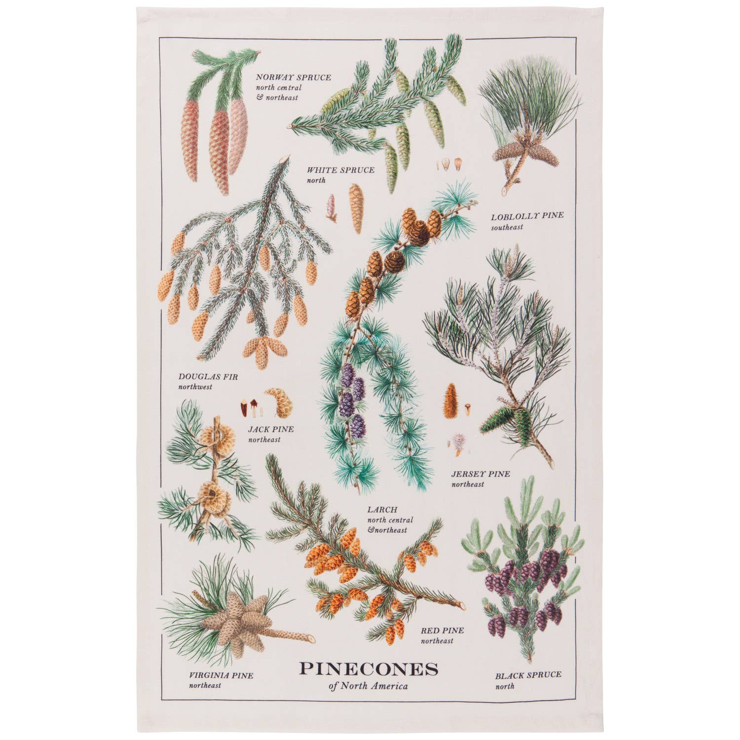 Torchon à vaisselle Pinecones | Objetos de diseño y regalos originales