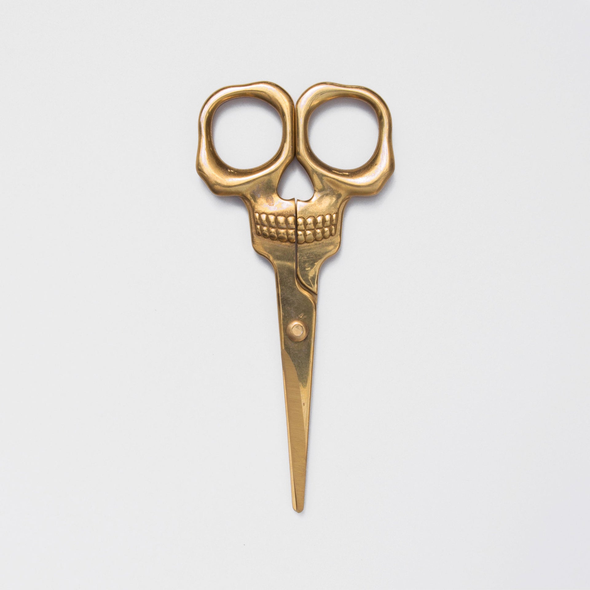 Ciseaux Skull