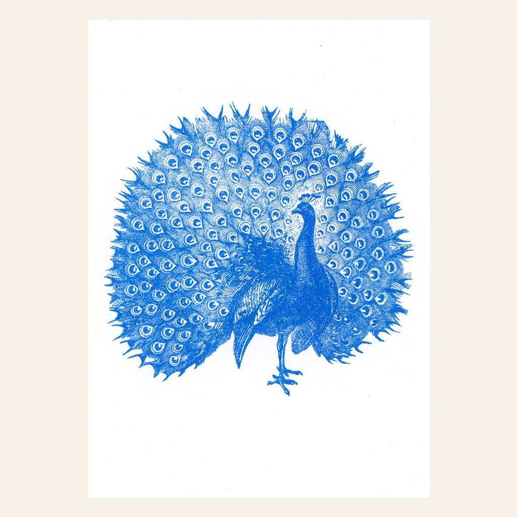 Carte postale Paon | Designproducten en originele cadeaus