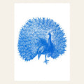 Carte postale Paon | Designproducten en originele cadeaus