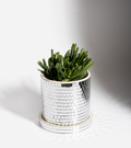 Pot à plante disco
