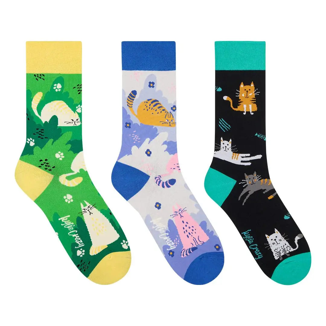 Pack original de 3 paires de chaussettes à motif chat avec boîte Kitten