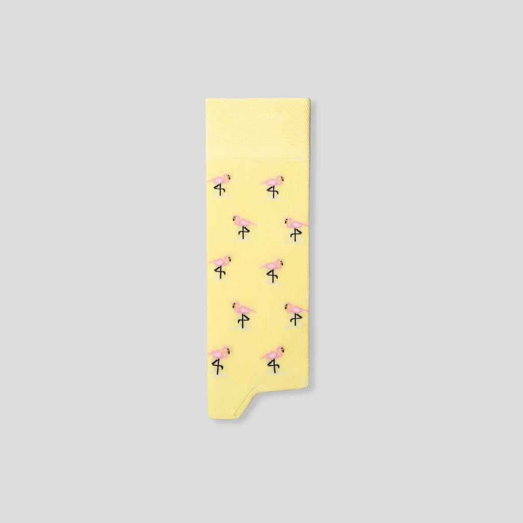 Oggetto regalo di design – chaussettes flamants roses the captain socks 