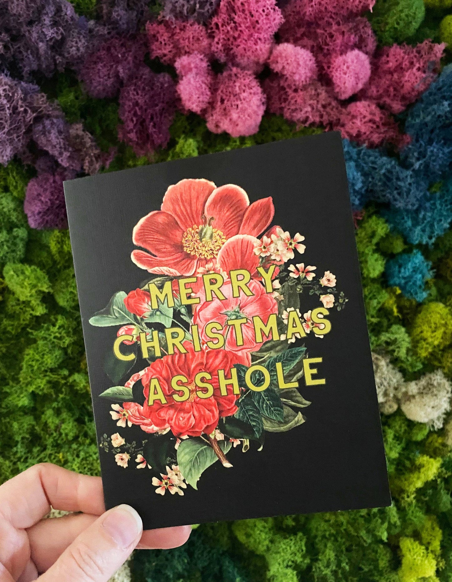 Coffret de 10 cartes "Merry Christmas Asshole"