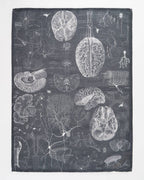 Regalo de diseño – Torchon Science du Cerveau et des Neurosciences – produit scientifique Cognitive Surplus EU, vue 1