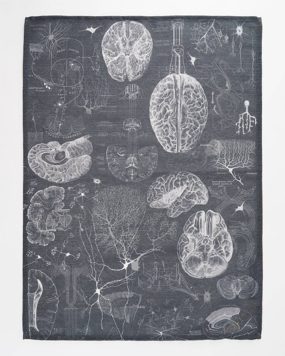 Oggetto regalo di design – Torchon Science du Cerveau et des Neurosciences – produit scientifique Cognitive Surplus EU, vue 1