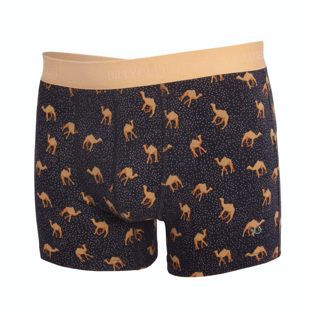 Boxer Chameau